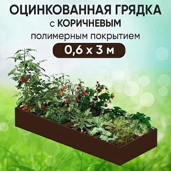 Грядка коричневая (0,6 х 3)